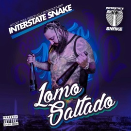 Lomo Saltado Interstate Snake