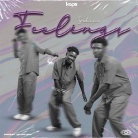Feelings - Single - SAHENE