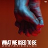 What We Used To Be (feat. Jolie) - Single