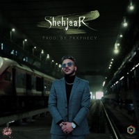 Shehjaar - Single - Sxr