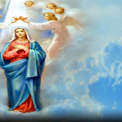 Eugene x Tmars BL3$$3D PACK ! - Single