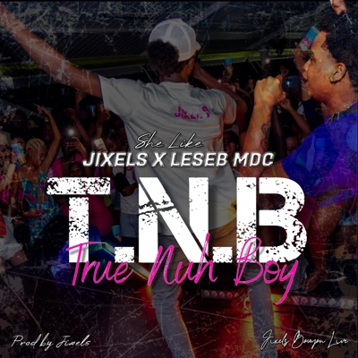 SHE LIKE TNB (feat. LESEB MDC) - Single