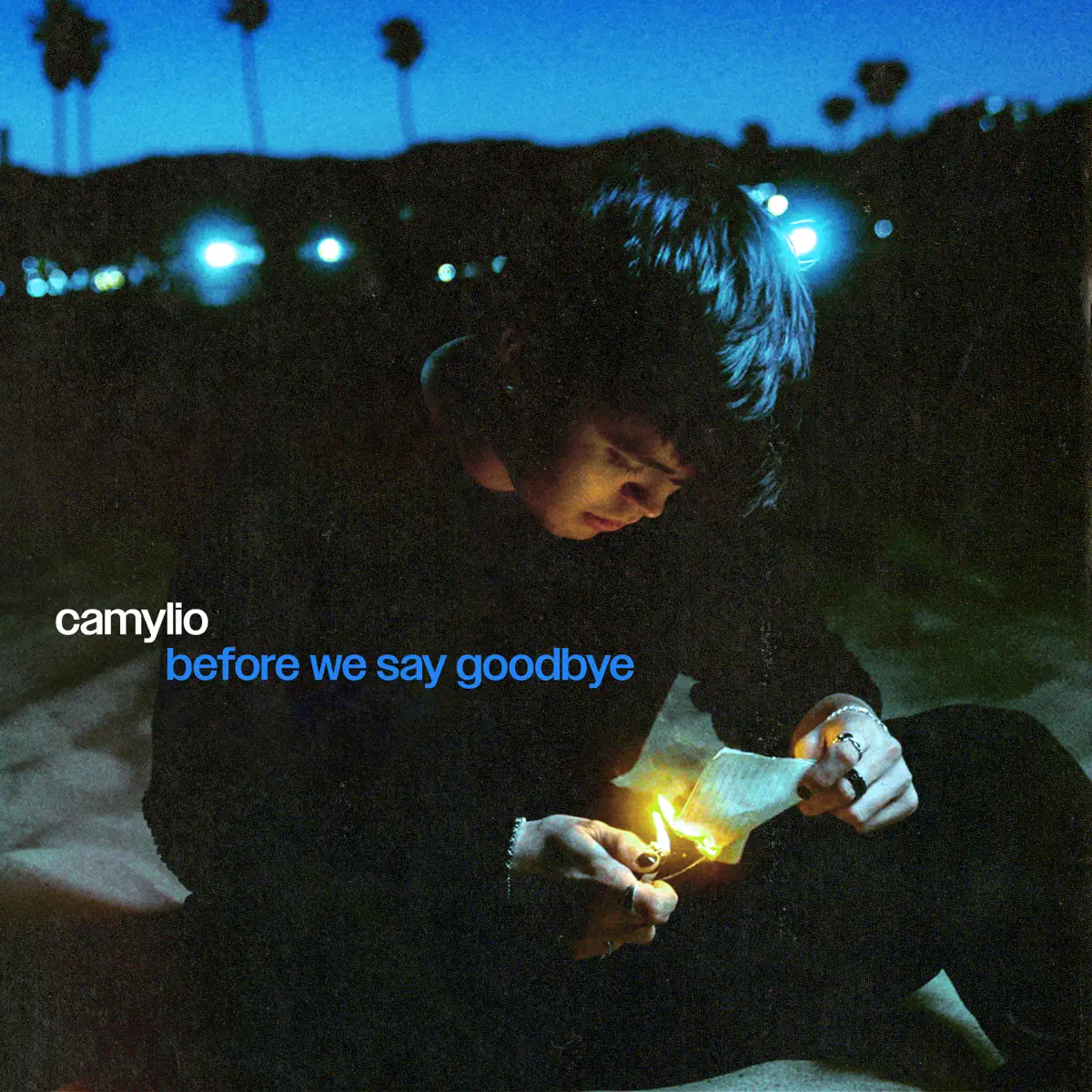 Camylio - before we say goodbye (2023) [iTunes Plus AAC M4A] ​​​-新房子