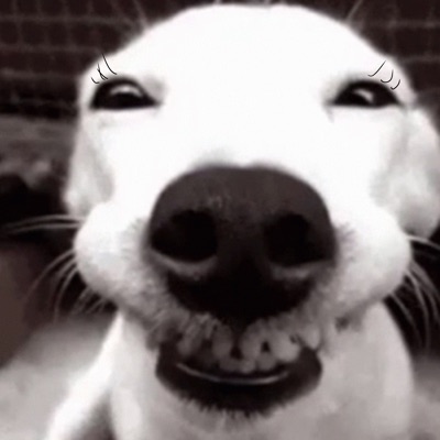 Meme Rap Anthem - Single