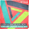 Lush & Simon