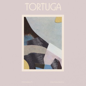 Tortuga (feat. Paulrhythms)