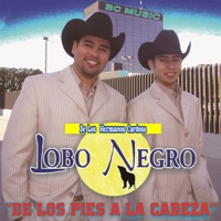 DE LOS PIES A LA CABEZA - Lobo Negro de los hermanos Cardoso