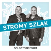 Stromy Szlak (GOLEC UORKIESTRA) artwork