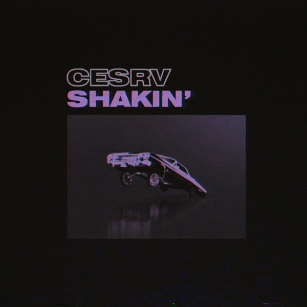 Shakin' - Single