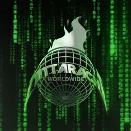 Natural Vibe Mitty Mitch