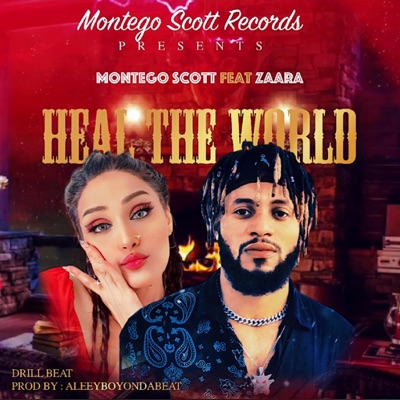Heal The World (feat. Zaara) - Single