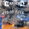 Каждый новый день (feat. The Iron Bees) - Single