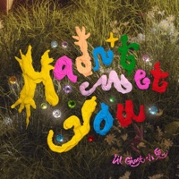 Hadn't Met You - Single - Lil Ghost