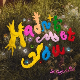 Hadn't Met You Lil Ghost