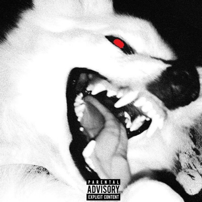 Dolemite Pack - Single