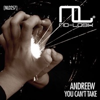You Can't Take - Single - AndReew