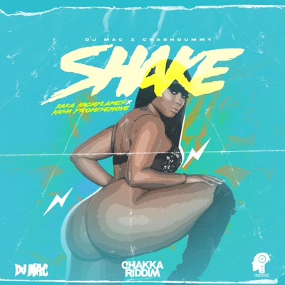 Shake (feat. DJ Mac & CrashDummy) - Single