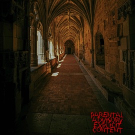 Darkness (feat. dynamic) Enemy PRZ