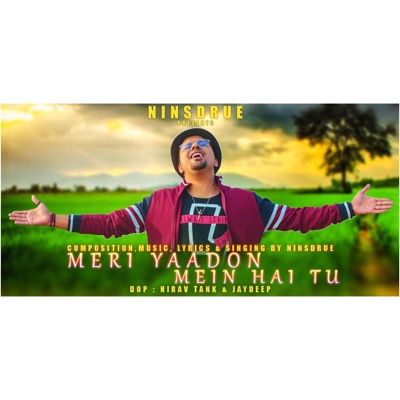 Meri Yaadon Mein Hai Tu - Single