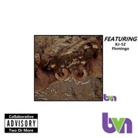 Rich Christians (feat. KJ-52 & Flvmingo) - Single - BVN