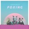 Foxing - MrFoxMad lyrics