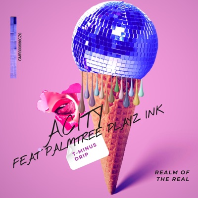 Tminus Drip (feat. Palm Tree Playaz Ink) - Single