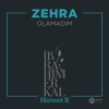 Olamadım (İbrahim Erkal Hürmet 2) - Single