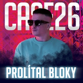 Prolítal bloky Case 26