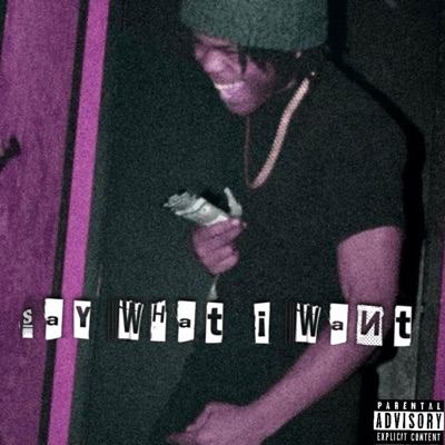 Say What I Want (feat. Tso9ina, AceWayyJankiie & Krust) - Single