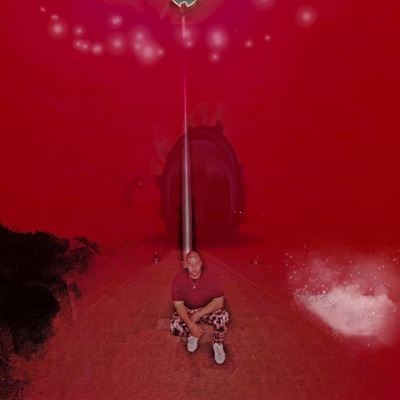 Polar opposites (feat. Ruebyn) - Single