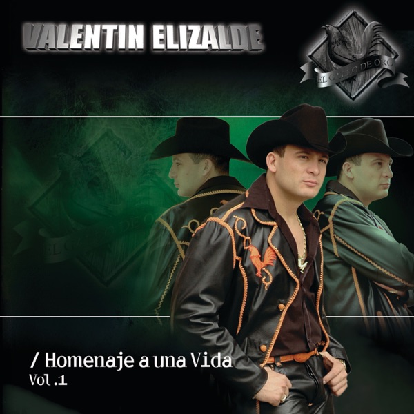Homenaje a una Vida, Vol. 1