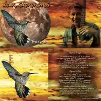 Melancolia — Ian Simmons