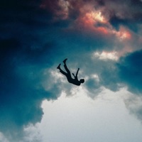 Falling Into Grace - Single - David Shou