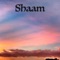 Shaam (feat. Harsh Bhoir) - Harsh Karmakar lyrics