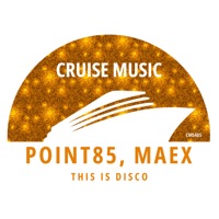 This Is Disco - Single - Point85 & Mæx