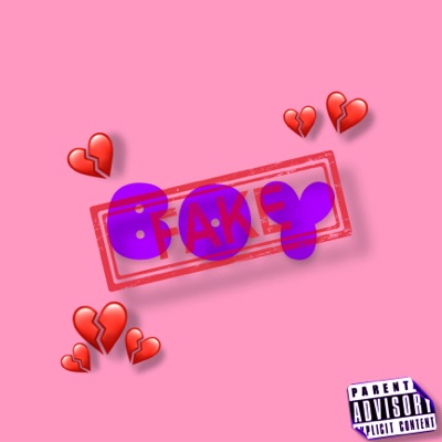 Fake Boy - Single