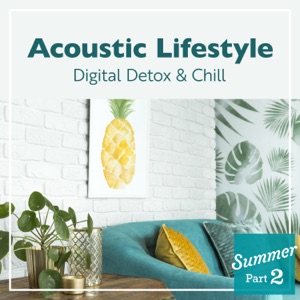 Acoustic Lifestyle: Digital Detox & Chill (Summer), Pt. 2