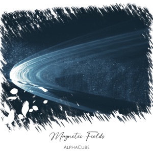 Magnetic Fields - Single