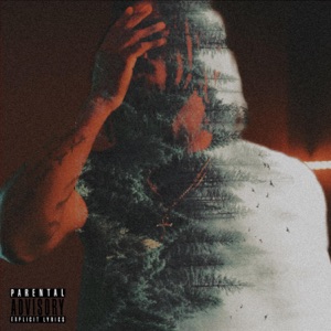 TALK DAT WALK DAT (feat. Chow Lee & Cash Cobain)
