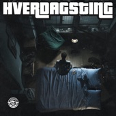 Hverdagsting artwork