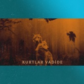 Kurtlar Vadide (Trap Mix) artwork