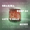 Shakira - Bzrp 53 (Catz 'N Dogz Remix) - Catz 'N Dogz lyrics