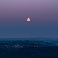 redpill (feat. Foogiano) - Single - zzzen