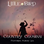 Little Bird (feat. Albert Lee) artwork