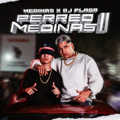 Perreo Medinas II (feat. Dj Plaga) - Single