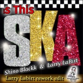 Is This Ska (Larry LaBirt Rework) artwork