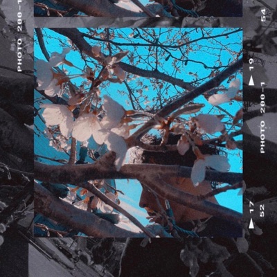 Hidden Romances - Single