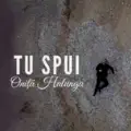 Tu spui