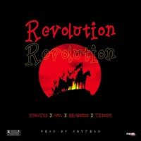 Revolution (feat. Bhadboi OML, Brownzee & Trend) - Single - Yungtee