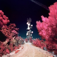 Spaceman - Single - Willie Kay